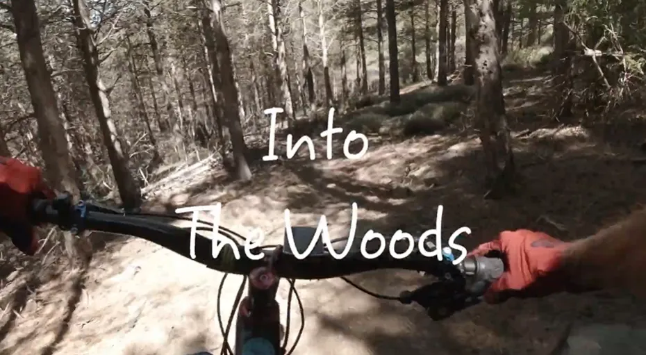 Into the Woods video